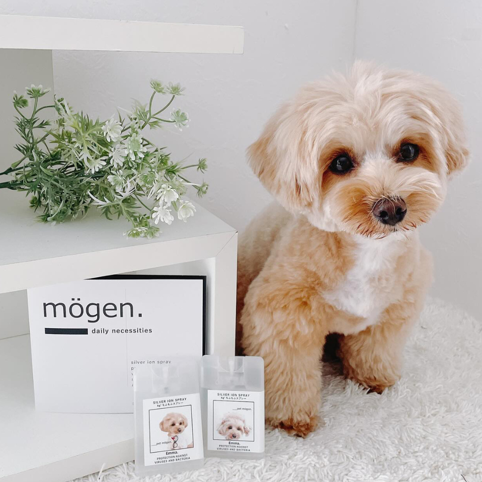 うちの子デザイン】20mlカード型 Ag+もふもふスプレー2個セット<消