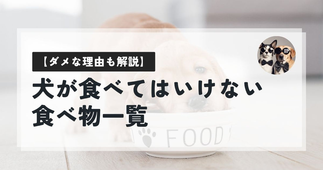 犬が食べてはいけない食べ物一覧【ダメな理由も解説】