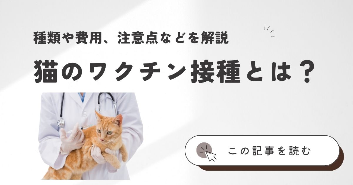 猫のワクチン接種とは？種類や費用、注意点などを解説