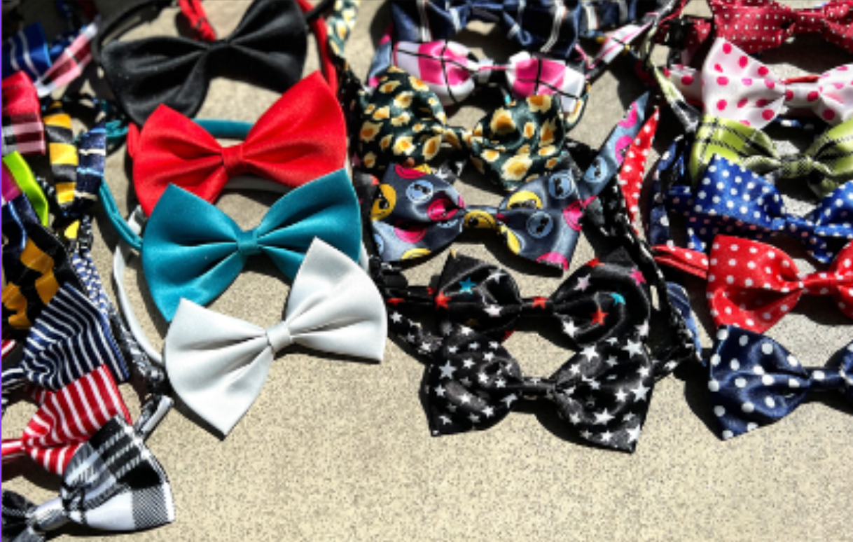 蝶ネクタイプレゼント