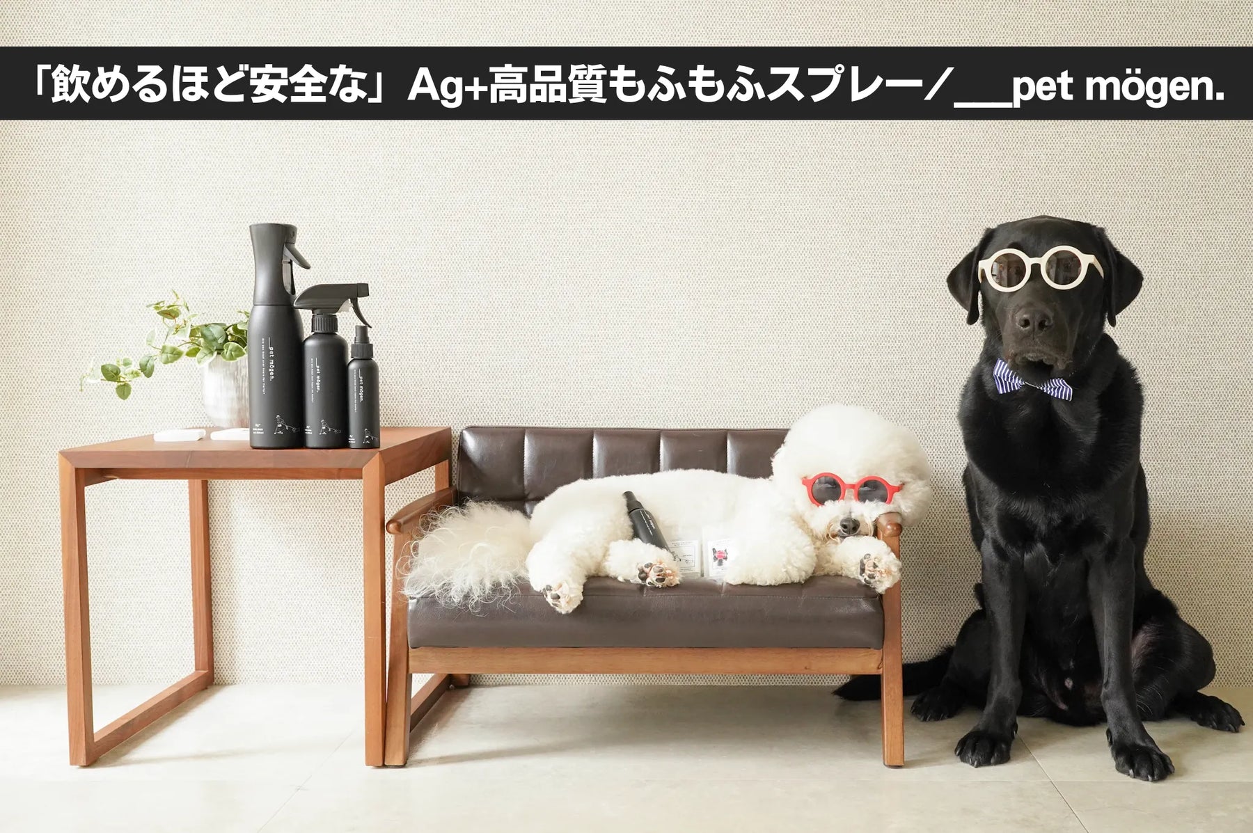 pet もふもふスプレー メインビジュアル